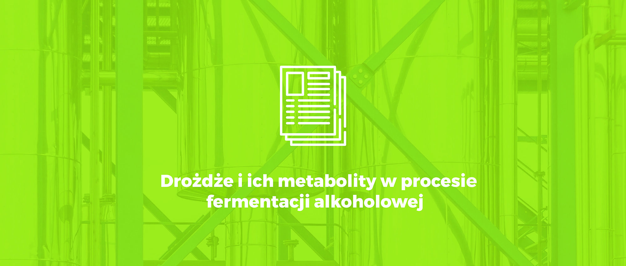 Drożdże i ich metabolity w procesie fermentacji alkoholowej